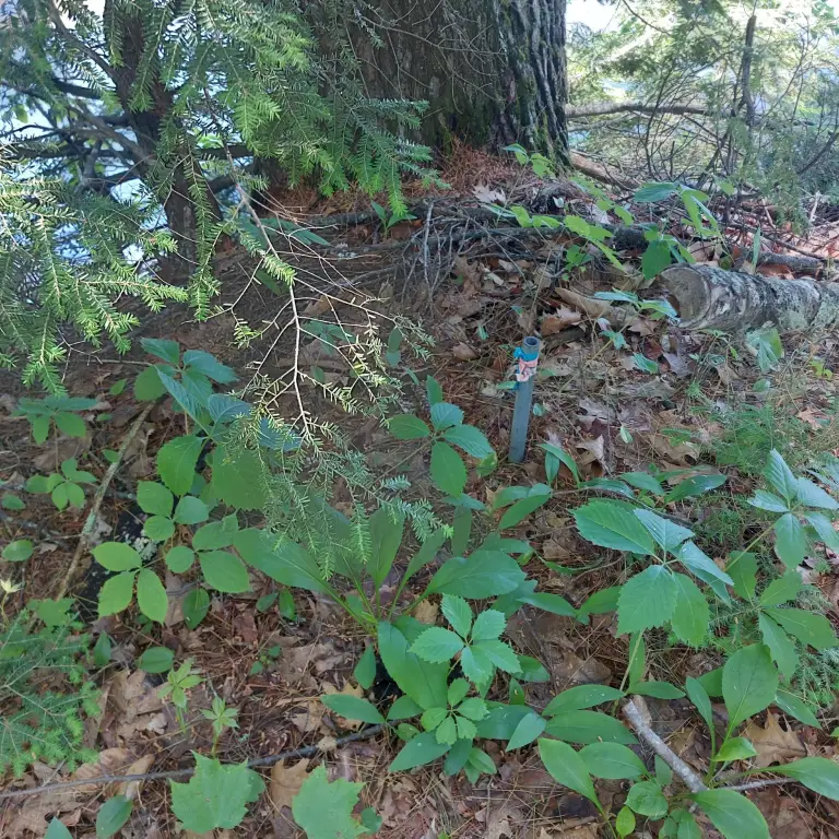 Picture 26