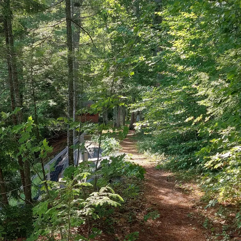 Picture 10