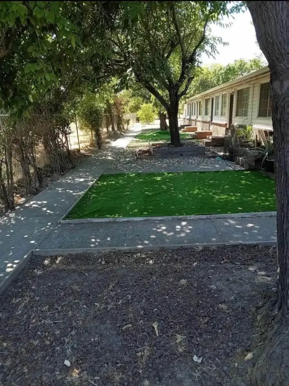 Picture 15