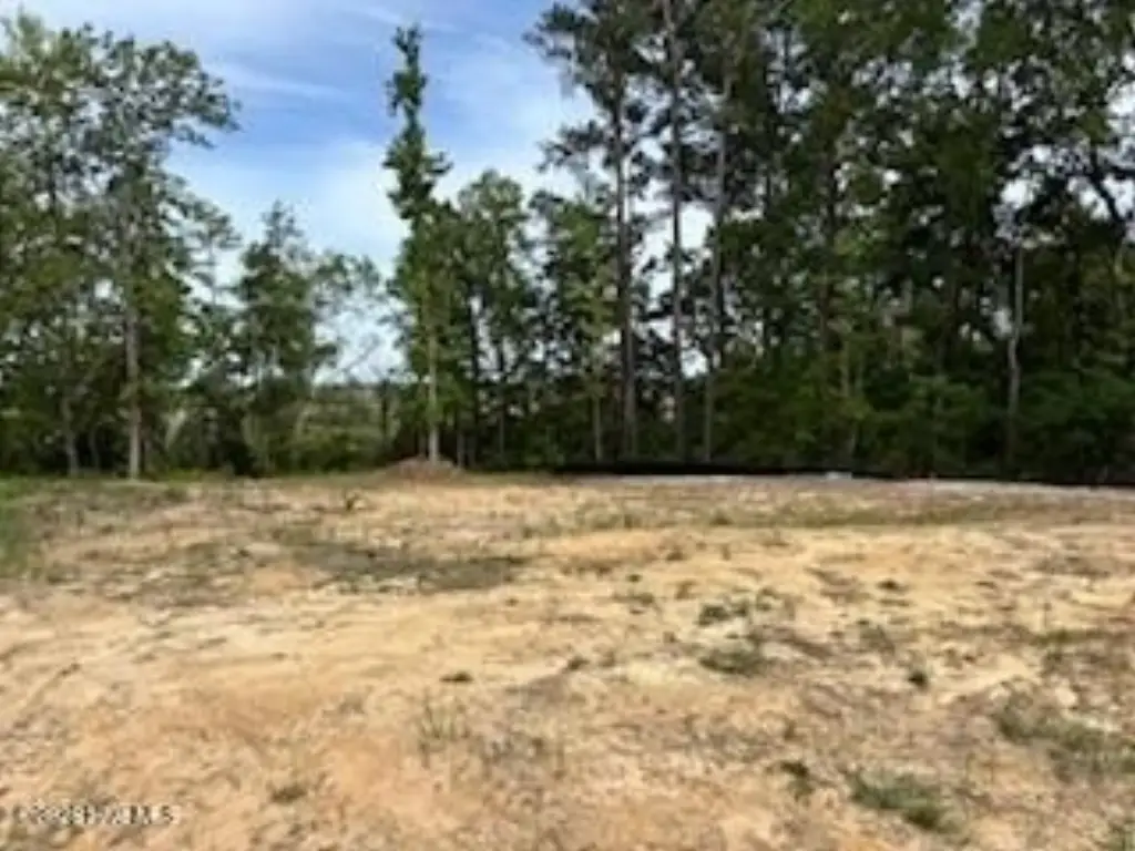 Picture 3