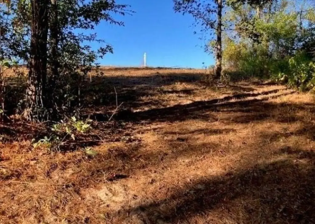 Picture 2