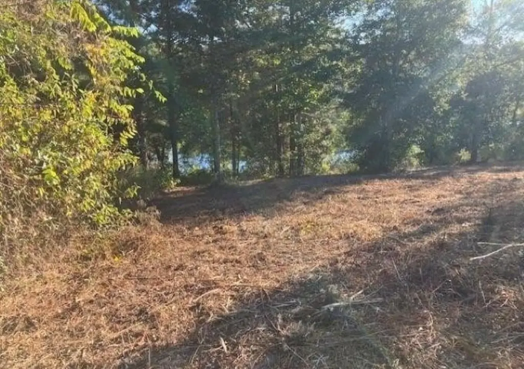Picture 4