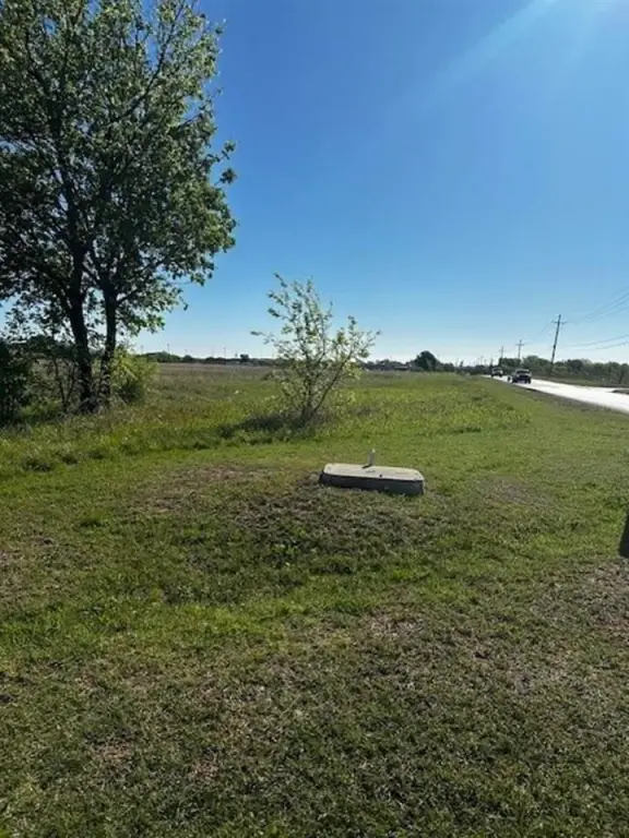 Picture 4