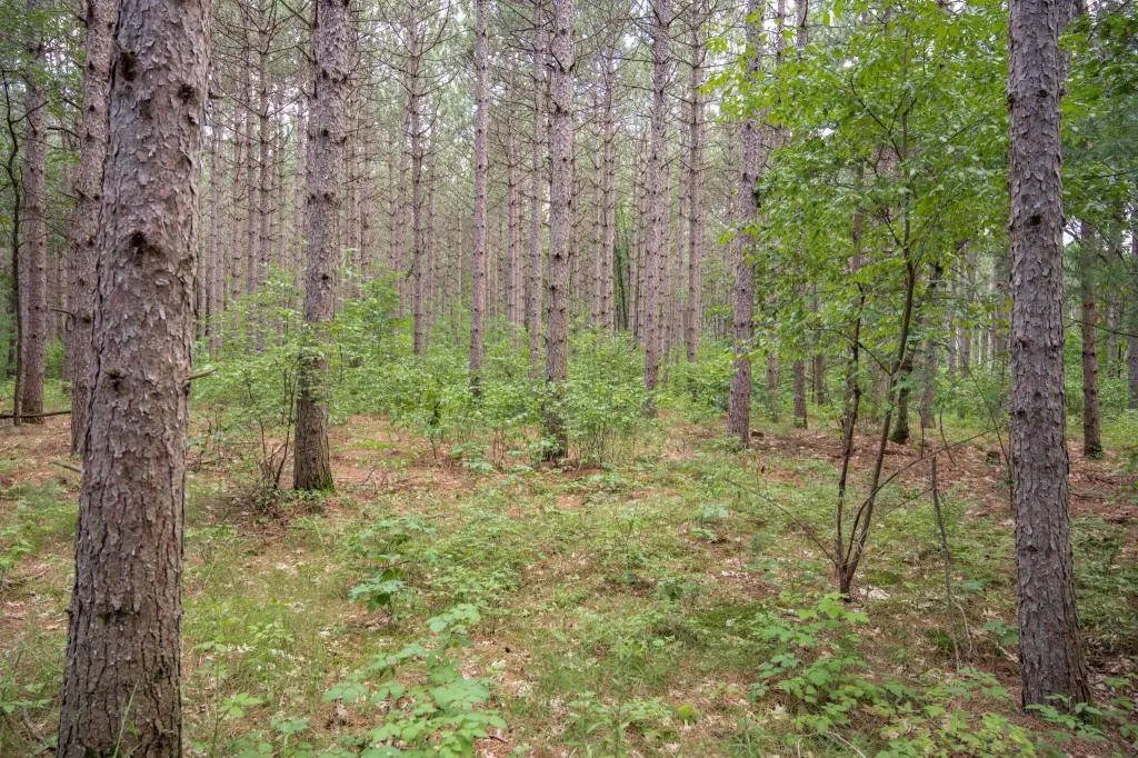 Picture 22