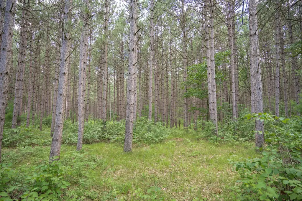 Picture 36