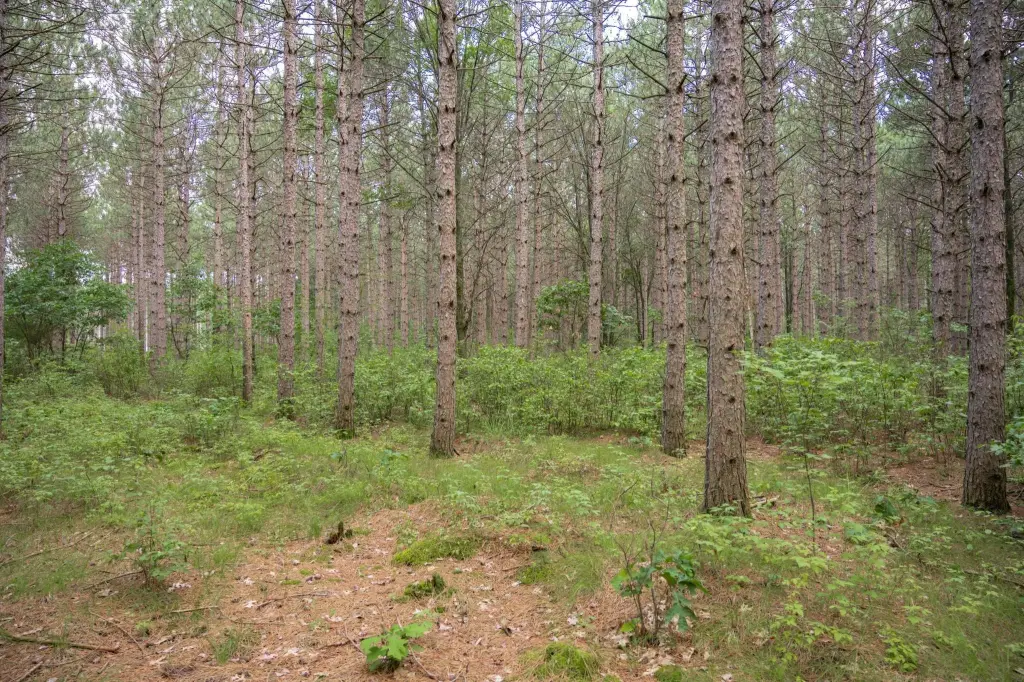 Picture 24