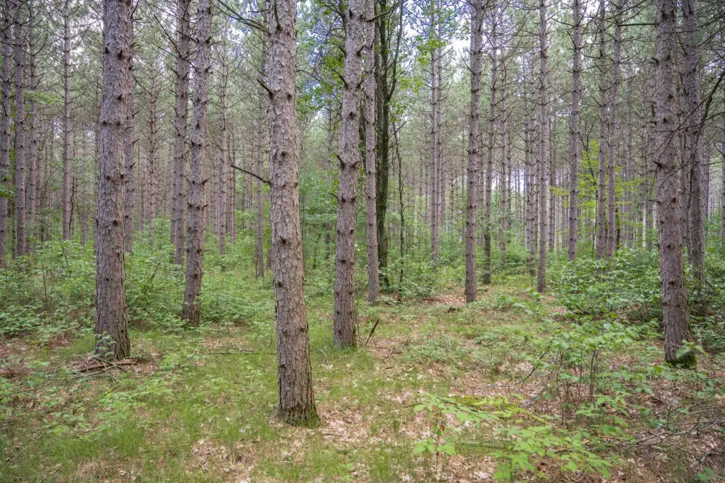 Picture 23