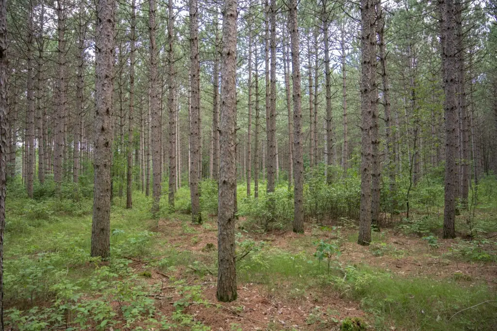 Picture 30