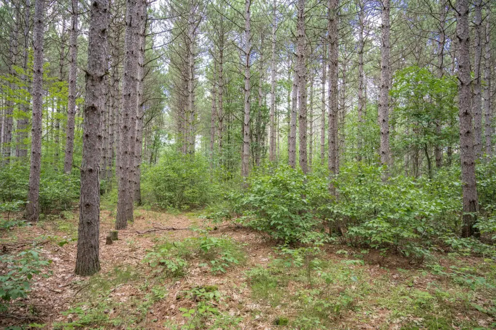 Picture 16