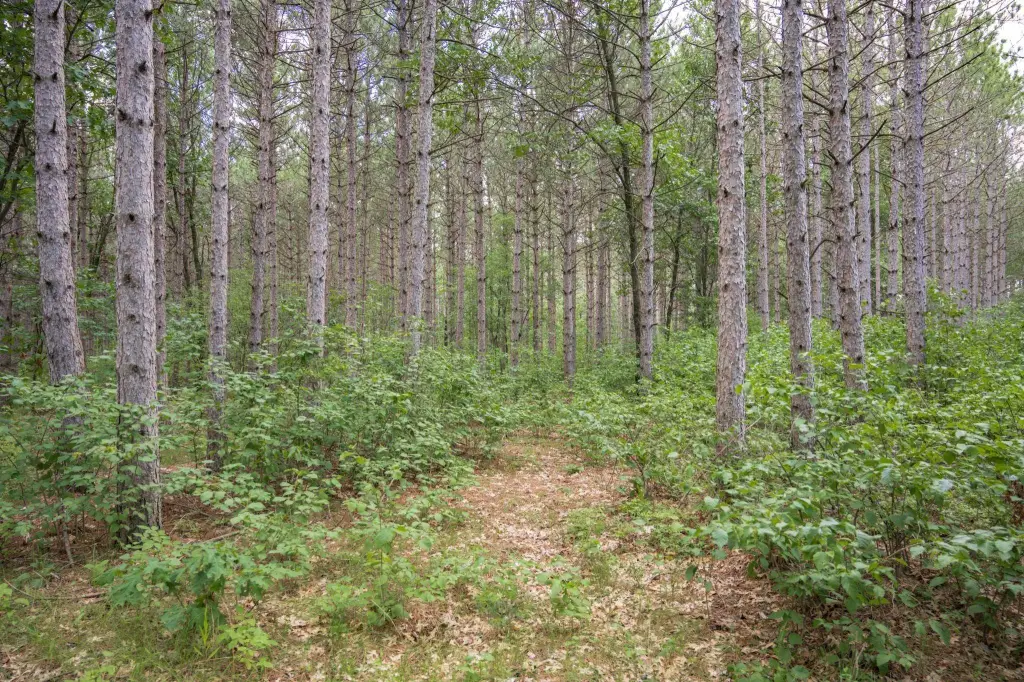 Picture 32