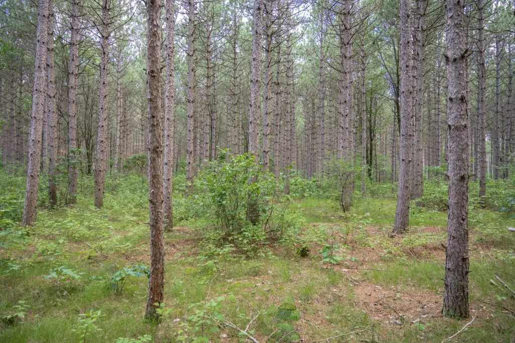 Picture 26