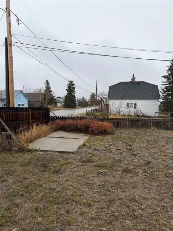 Picture 21