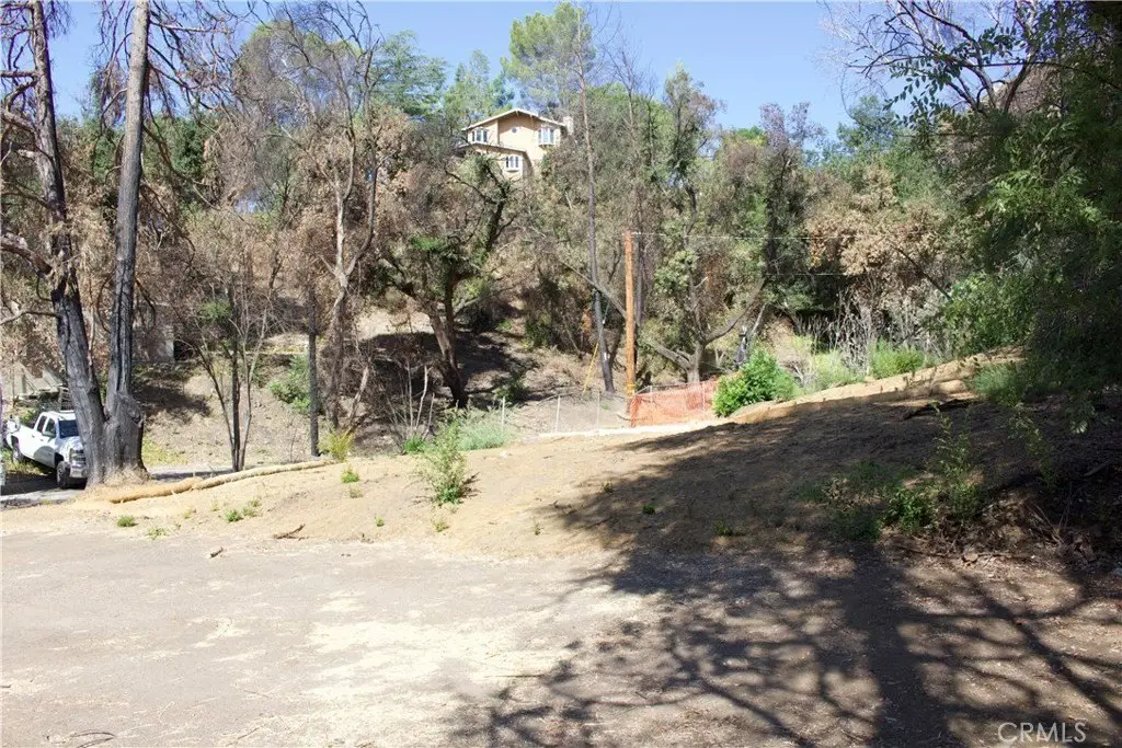 Picture 12