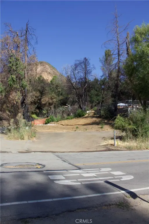Picture 19