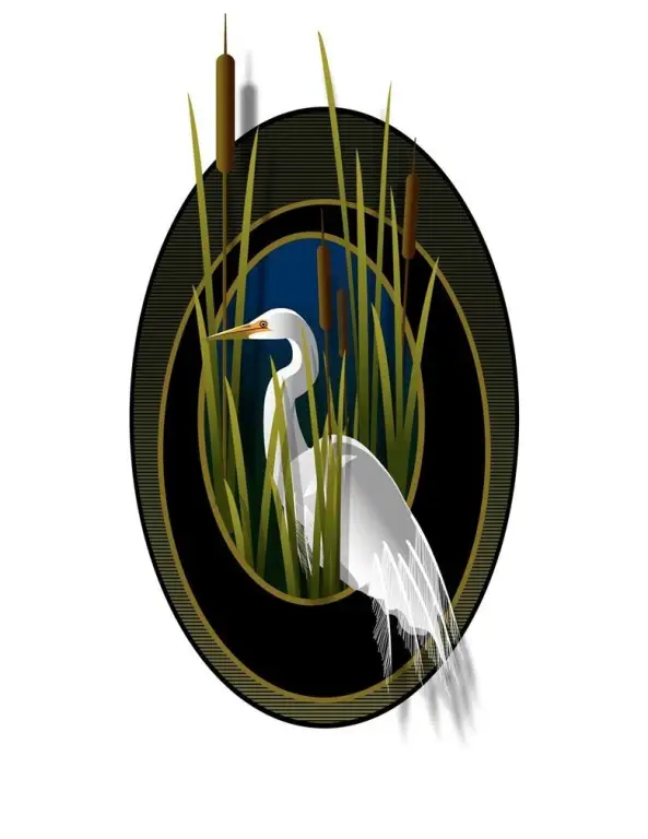 Picture 24