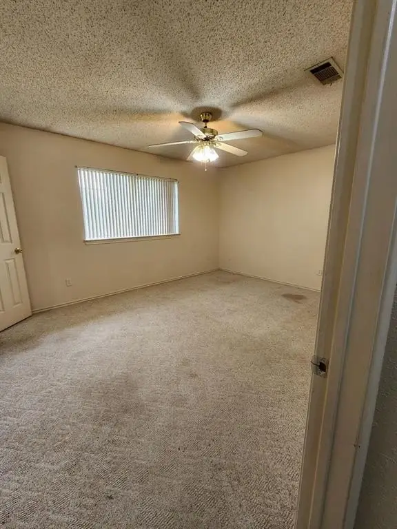 Picture 29