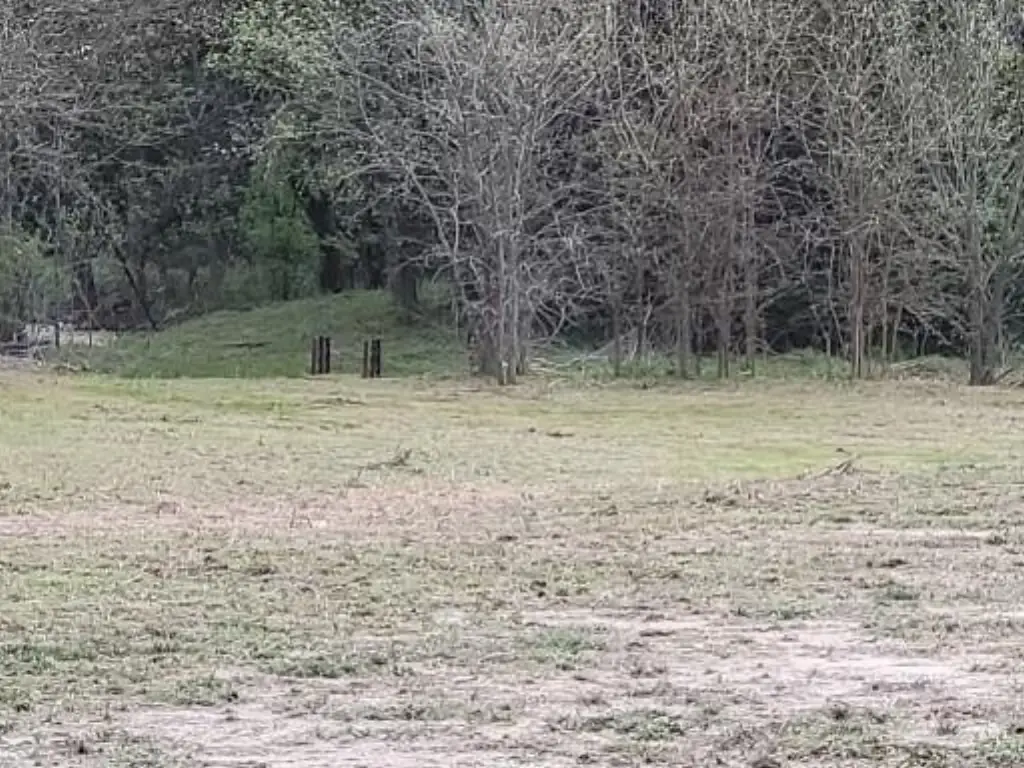 Picture 11