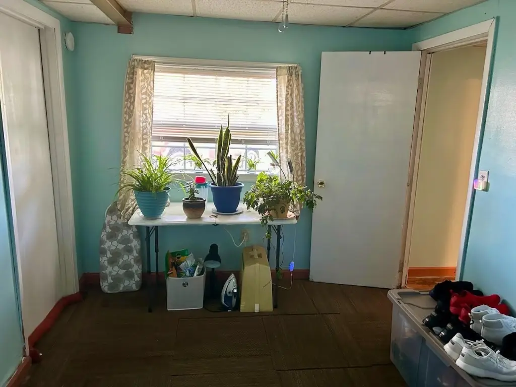 Picture 23