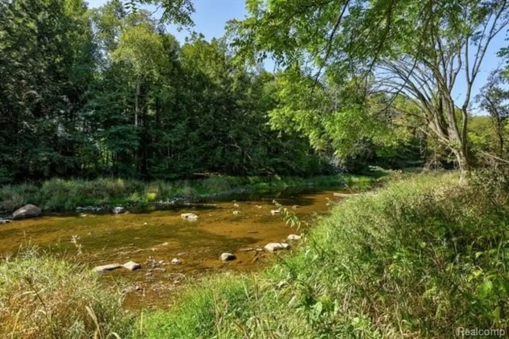 Picture 41