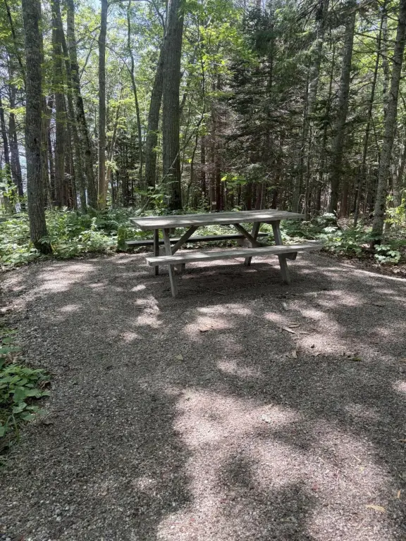 Picture 25
