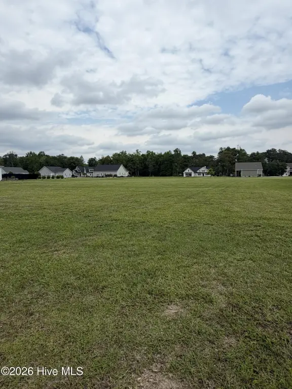 Picture 4