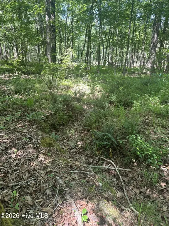 Picture 9
