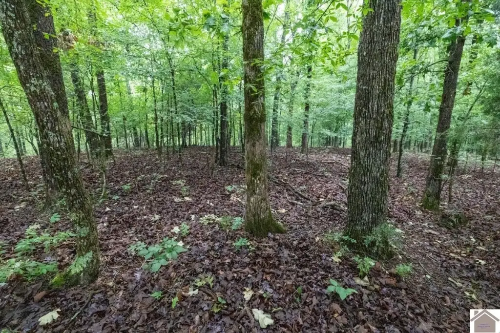 Picture 19