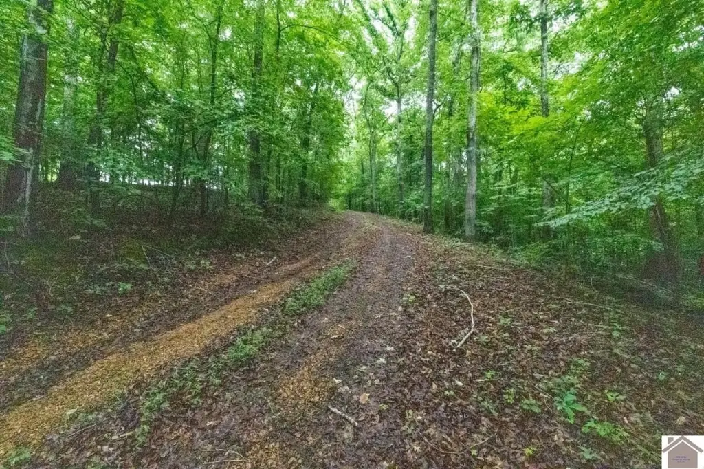 Picture 42