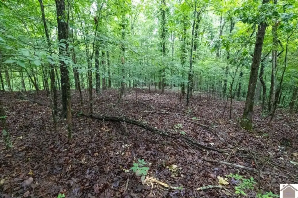 Picture 21