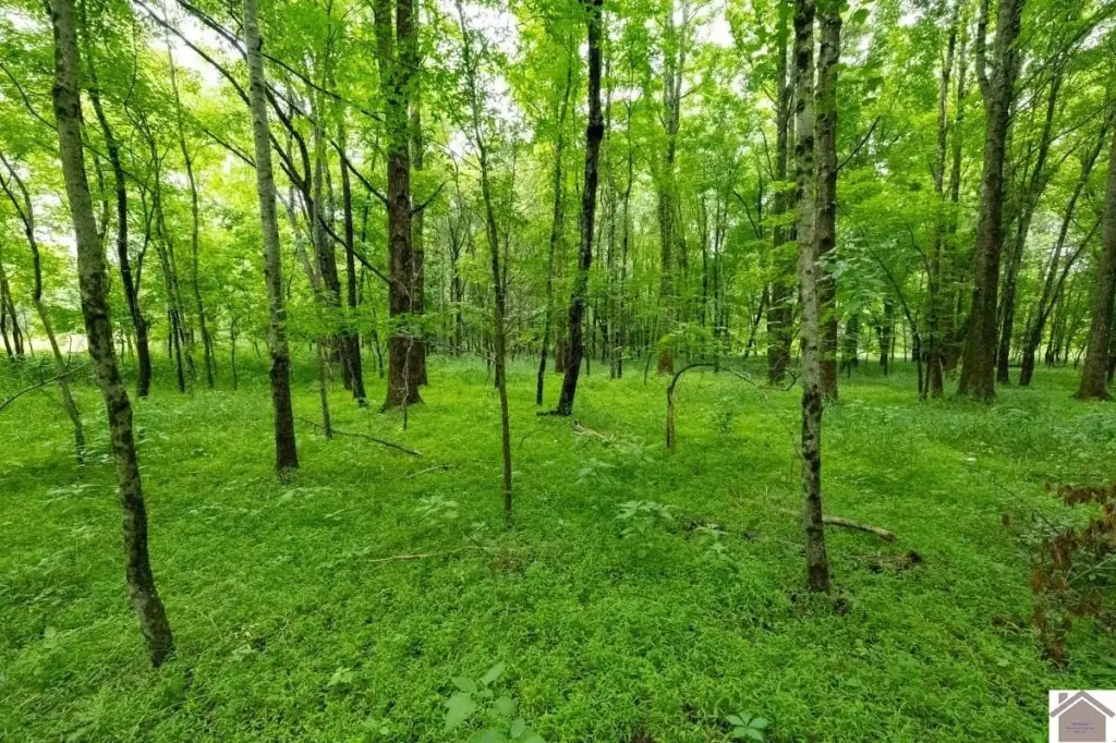 Picture 10