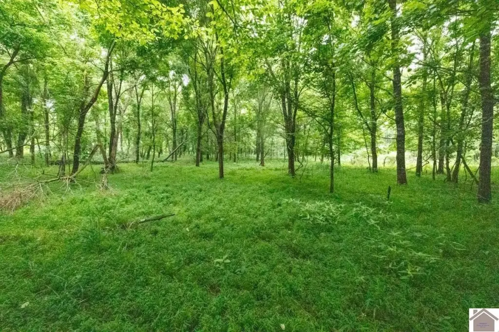 Picture 15