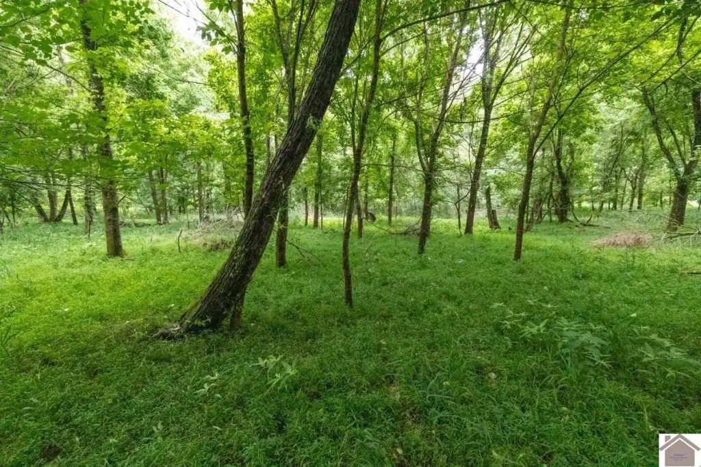 Picture 12