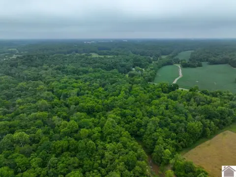 Calloway County Hunting and Timber