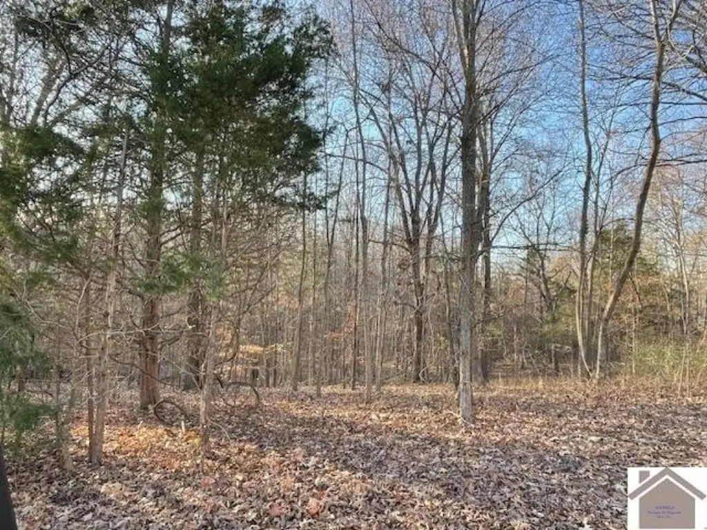 Picture 14