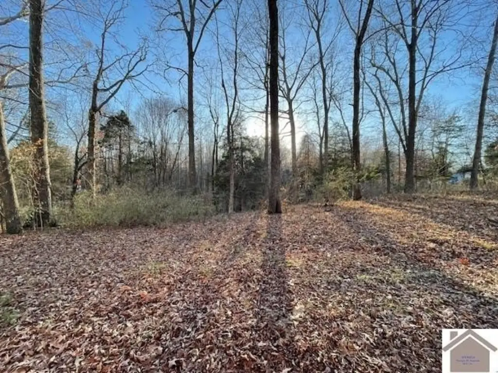 Picture 18