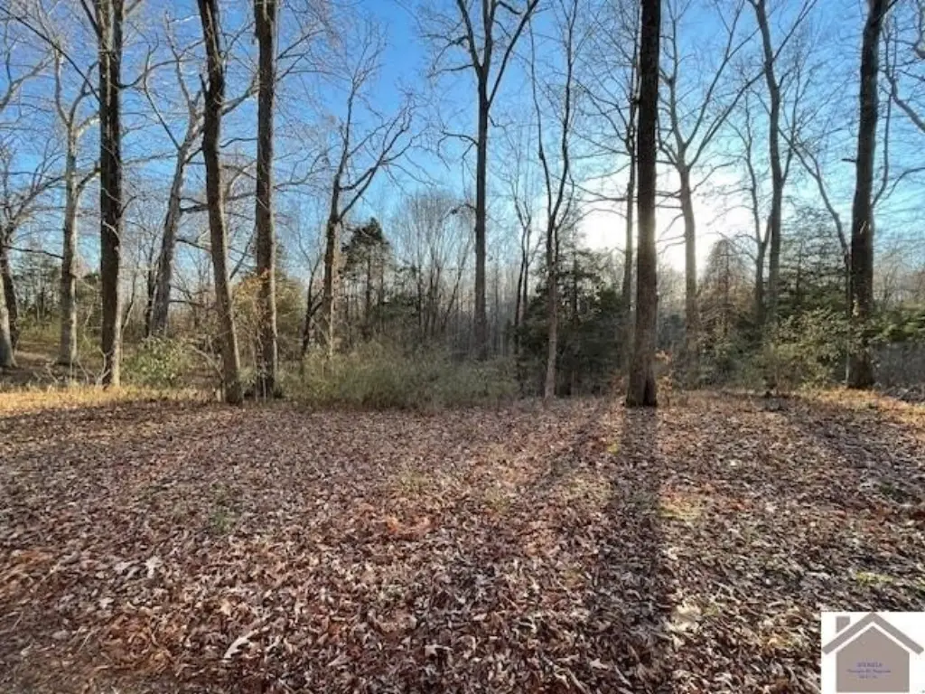 Picture 8