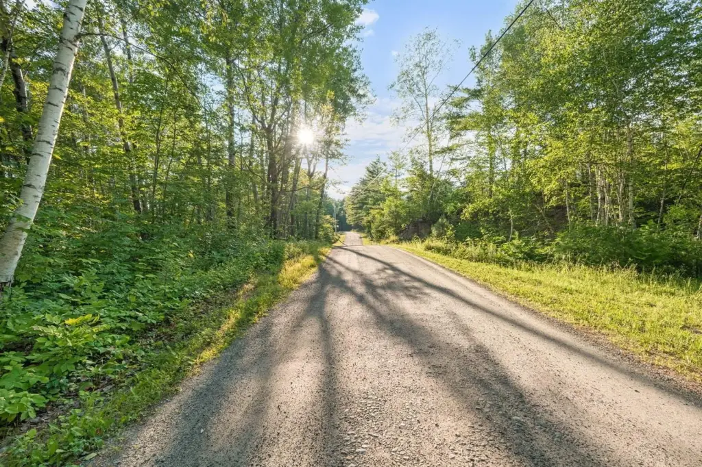 Picture 20
