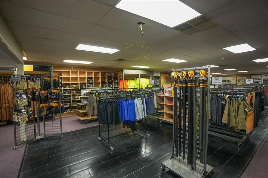 Picture 12