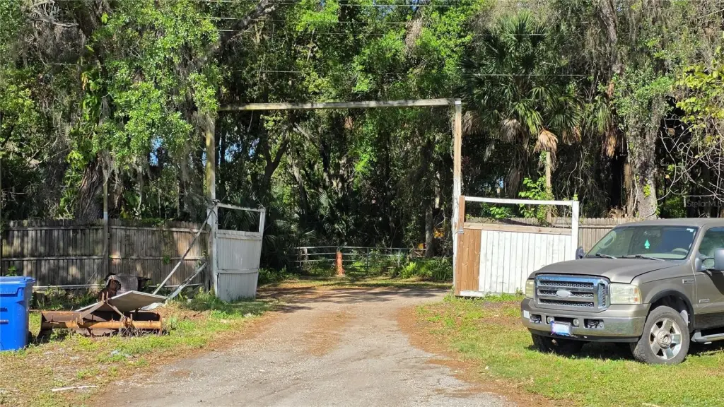 Picture 8