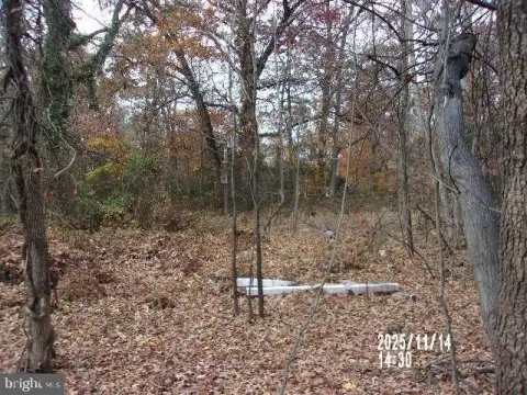 Wooded Landlocked Lot in Temple Hills