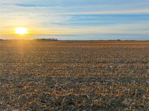 240 Acres of Iowa Land