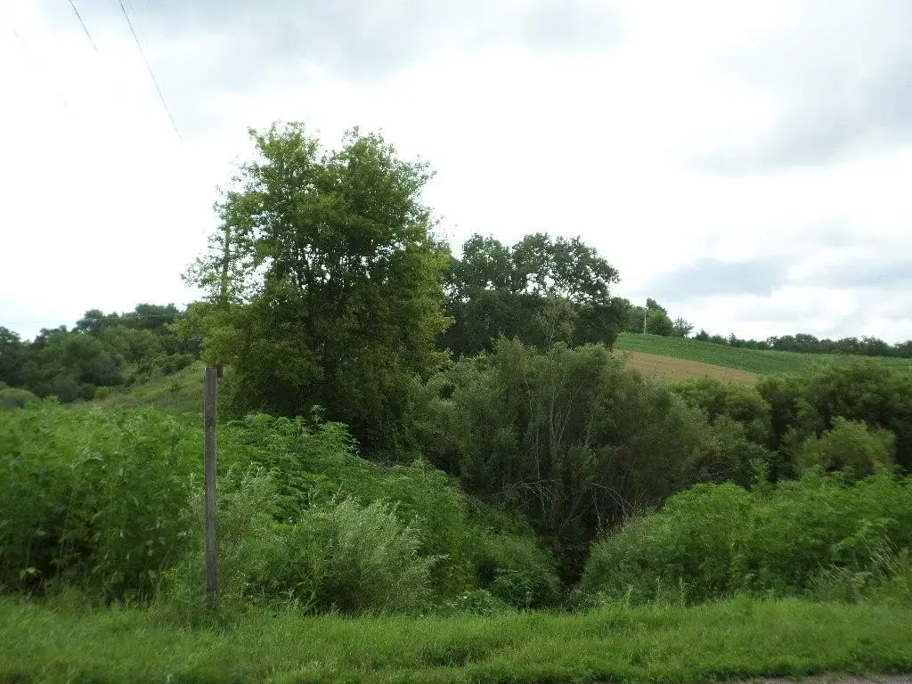 Picture 28
