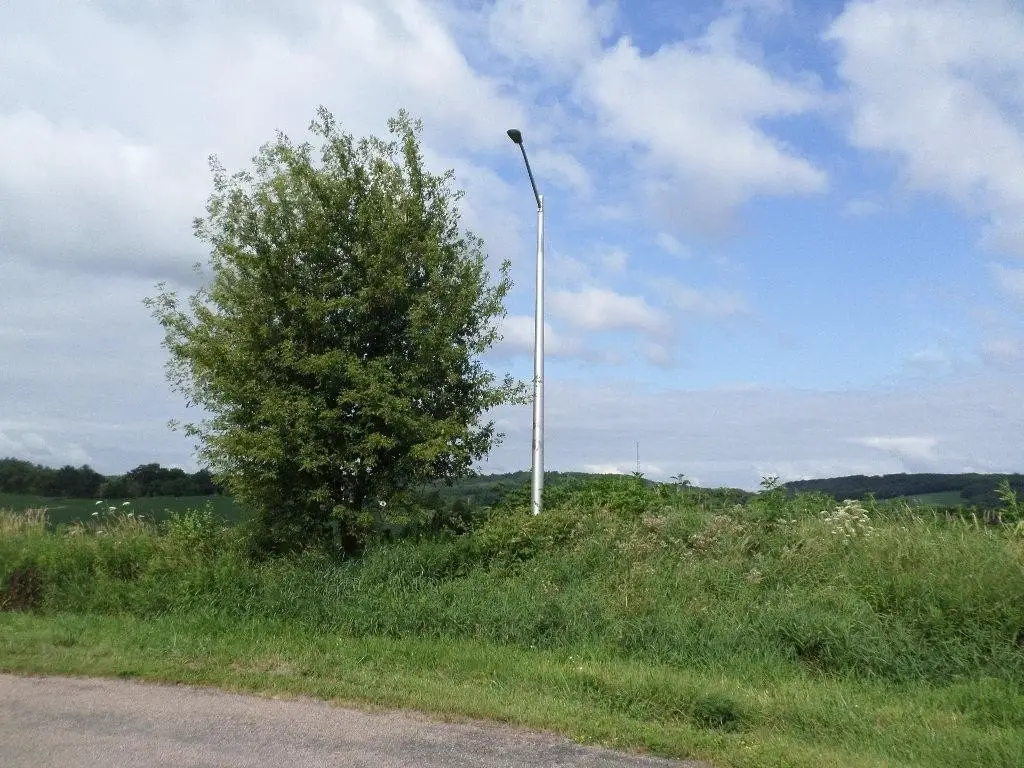 Picture 40