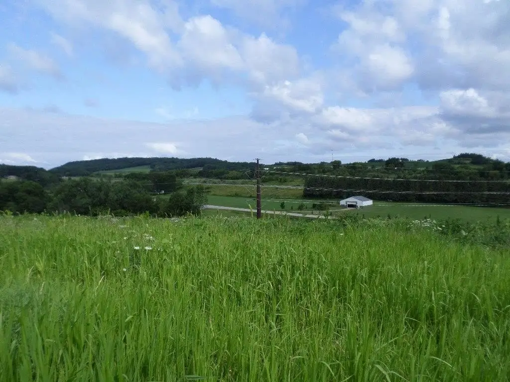 Picture 32