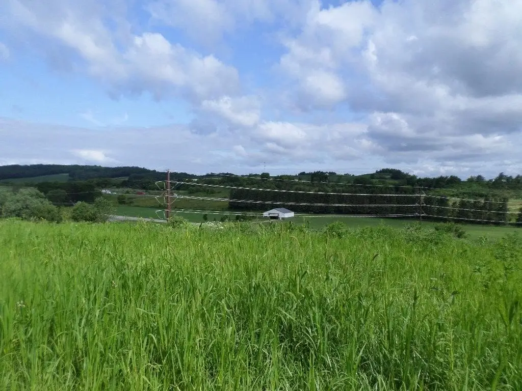 Picture 31