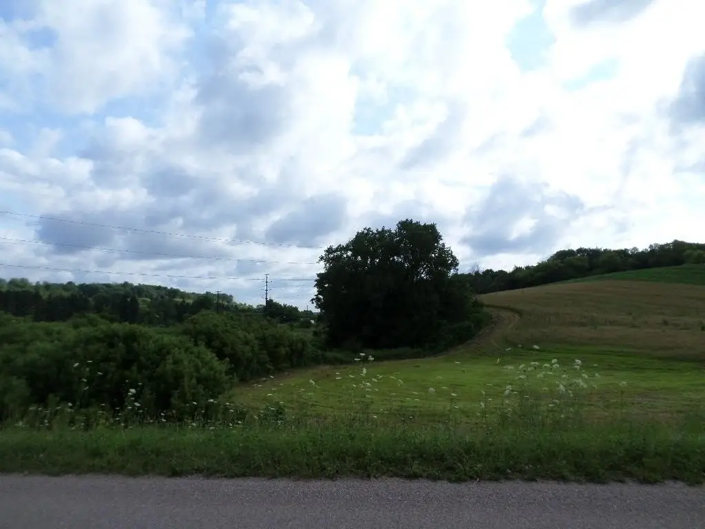 Picture 29