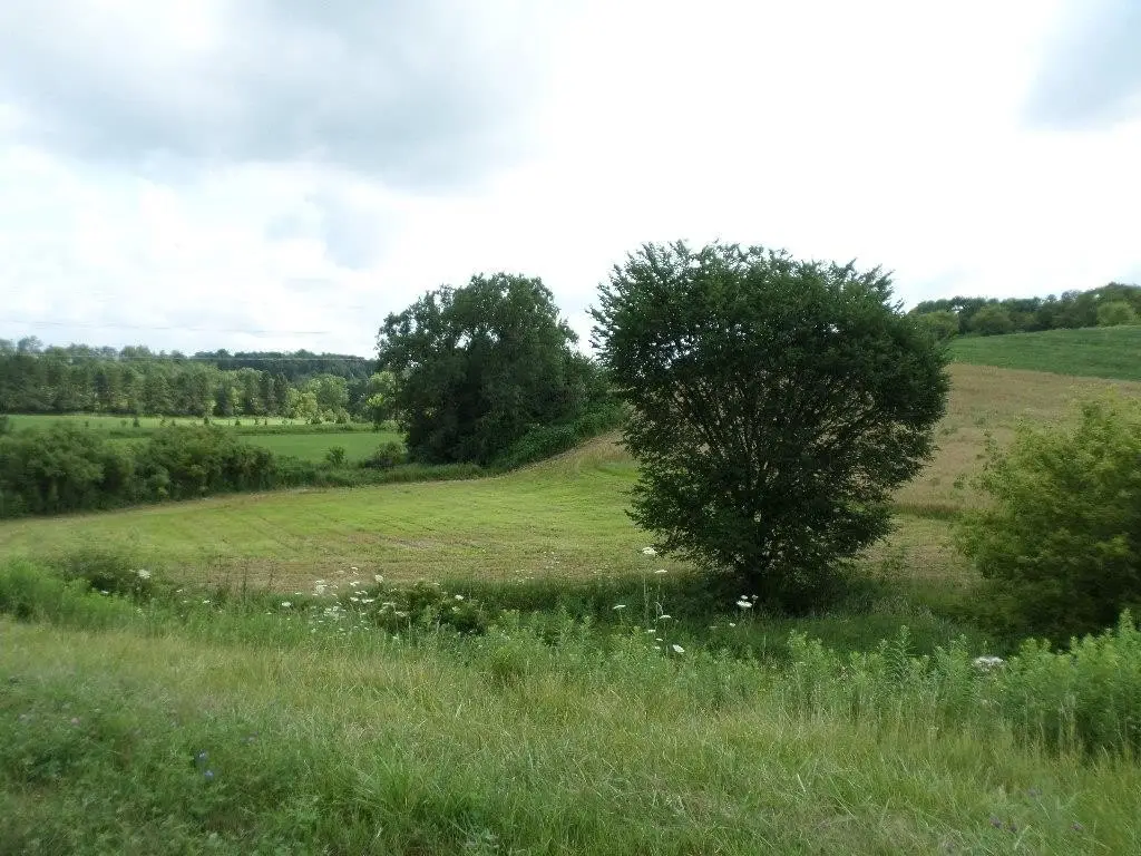 Picture 25