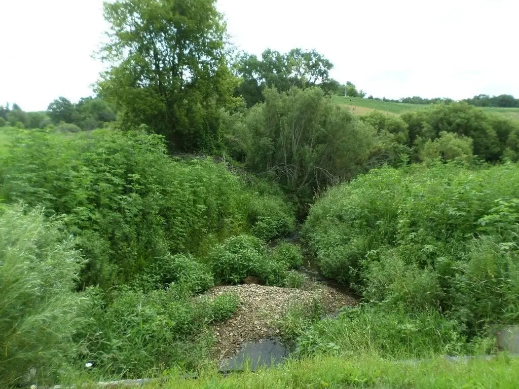 Picture 26
