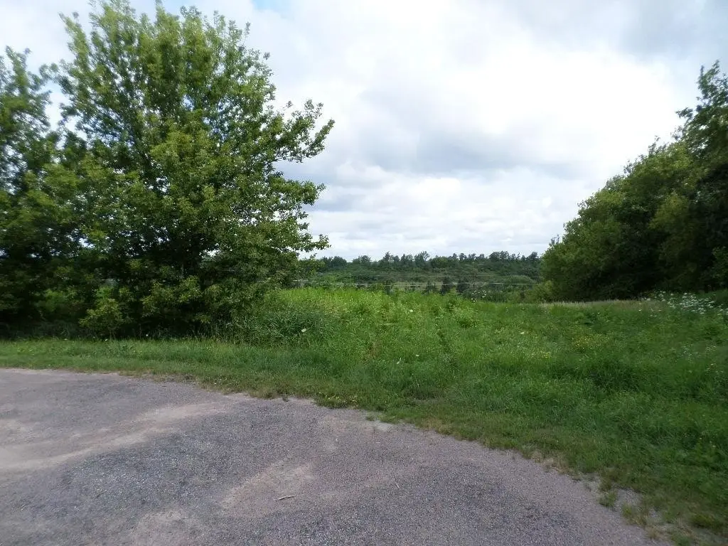 Picture 41