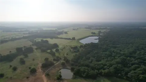 Expansive Pastureland in Alvord, Texas
